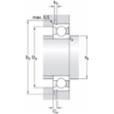 skf-6310-znr-6310--znr--3