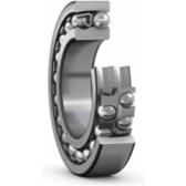 skf-1319-k-1319-k