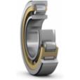 skf-nu-1022-mls-p54s1vq0-nu-1022-mls-p54s1vq015