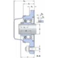 skf-f4bc-100-cpss-dfh-f4bc-100--cpss-dfh--2