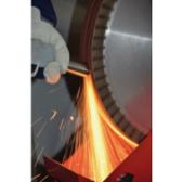 pferd-ba-45005726--2