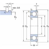 skf-207-znr-207--znr--2