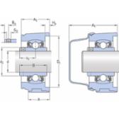 skf-p2btc-30m-tpzm-p2btc-30m--tpzm--2