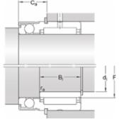 skf-nx-10-z-nx-10-z--4