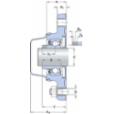 skf-f2bc-100-cpss-dfh-f2bc-100--cpss-dfh--2