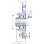 skf-f2bc-100-cpss-dfh-f2bc-100--cpss-dfh--2