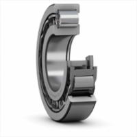 skf-nup-310-ecj-c3-nup-310-ecj-c3