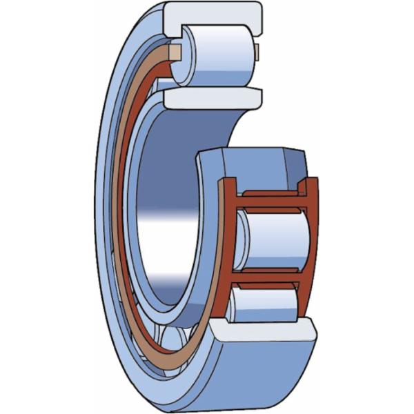skf-nu-309-ecnp-c3-nu-309-ecnp-c3
