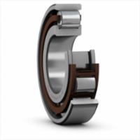 skf-n-221-ecp-n-221-ecp