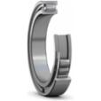 skf-ncf-2916-cv-ncf-2916-cv