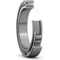 skf-ncf-2916-cv-ncf-2916-cv