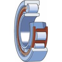skf-nup-314-ecnml-c3-nup-314-ecnml-c3