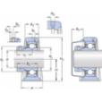 skf-sy-1--wf-sy-1--wf--2