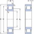 skf-n-222-ecp-c3-n-222-ecp-c3--2