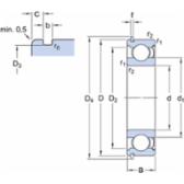skf-6305-znr-6305--znr--2