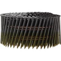 haubold-rnc-504537
