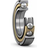 skf-qj-303-la-p63-qj-303-la-p63