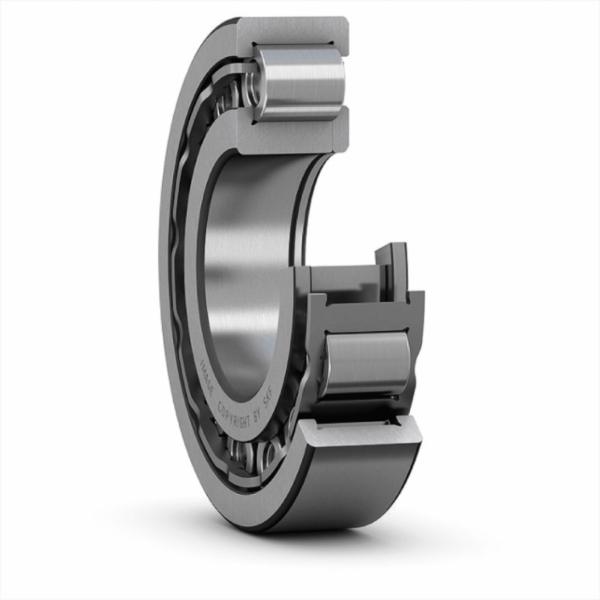 skf-nup-2319-ecj-nup-2319-ecj