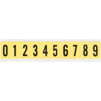 brady-034310-034310