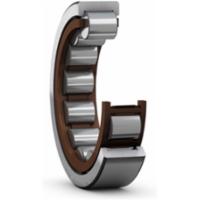 skf-rnu-308-ecp-rnu-308-ecp